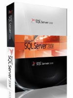 Microsoft SQL Server 2008 R2 (810-08230)